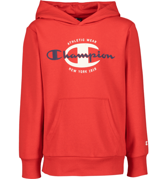 Champion hoodie hot sale stadium outlet